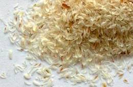 Psyllium Seed Husks